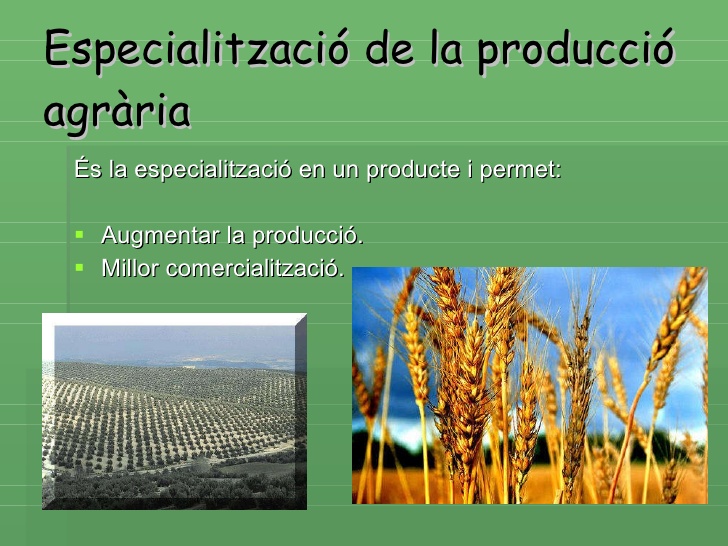 agricultur-ramadpescaberta-18-728
